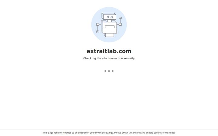 Posnetek zaslona extraitlab.com