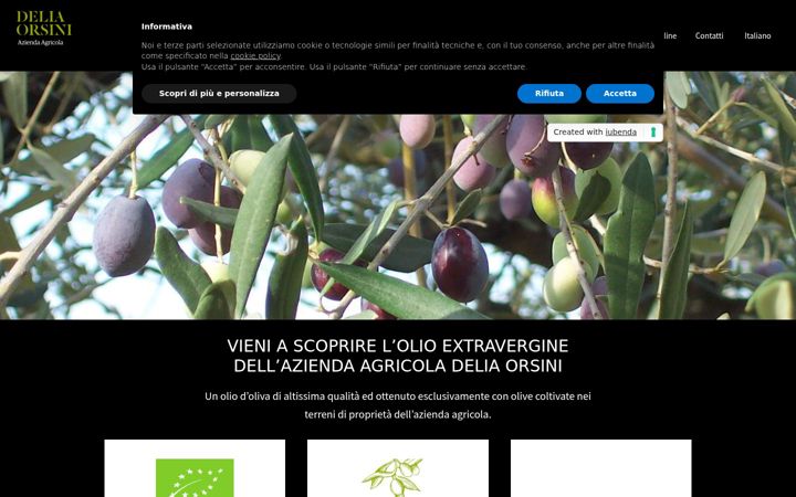 Capture d'écran de extravergineorsini.it