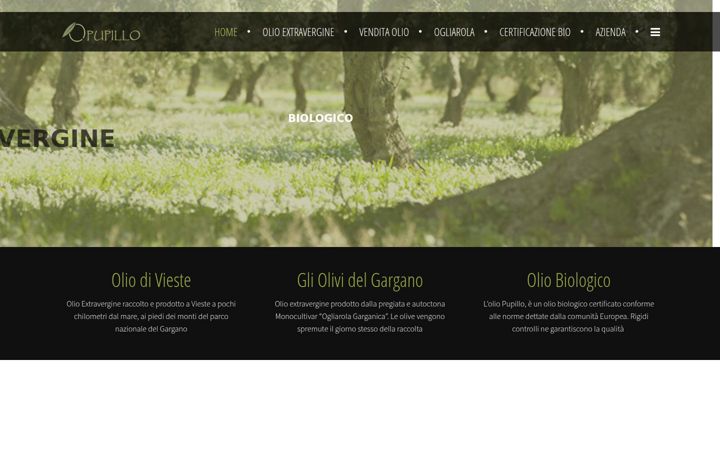 Skærmbillede af extraverginepuglia.it
