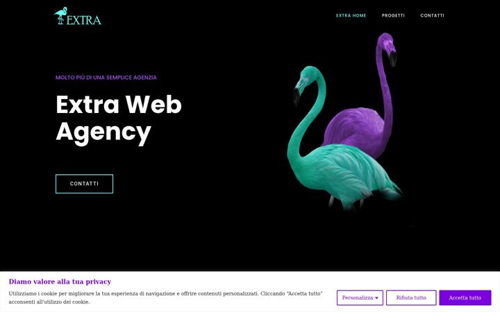 Screenshot of extrawebagency.com