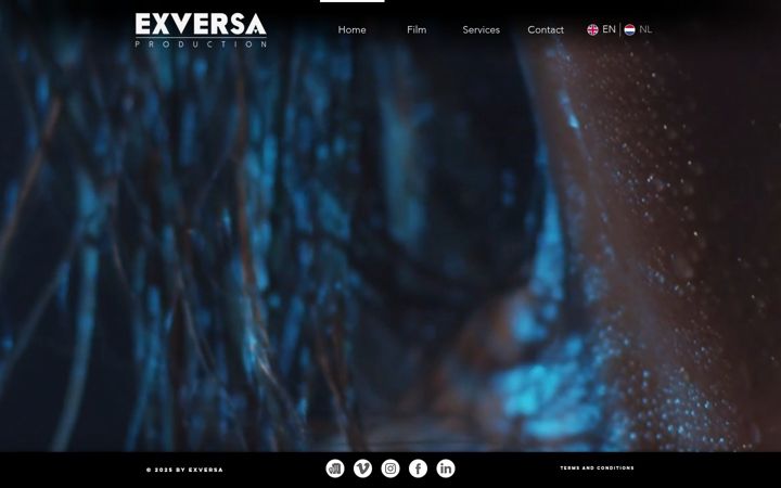 Screenshot of exversaproduction.com