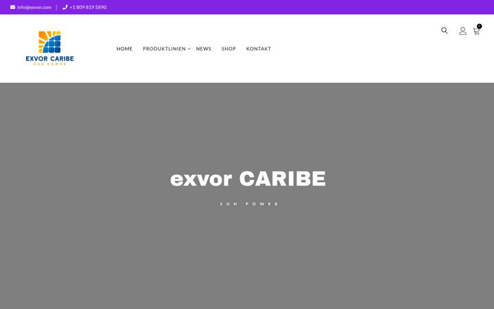 Screenshot of exvor.com