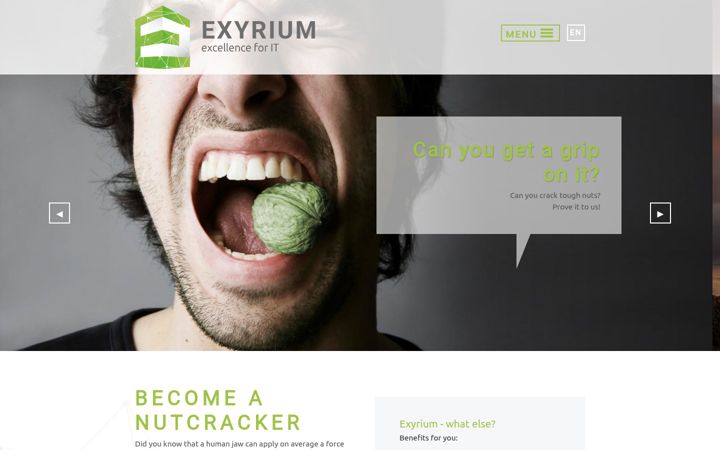 Screenshot of exyrium.com