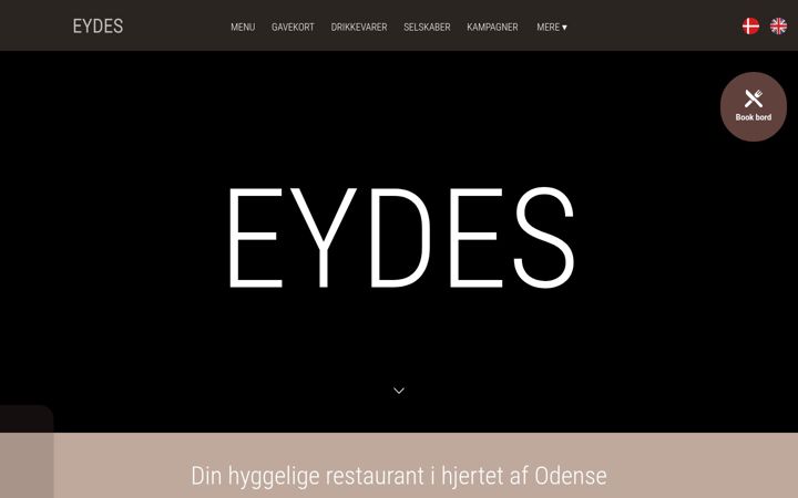 Screenshot of eydes.dk
