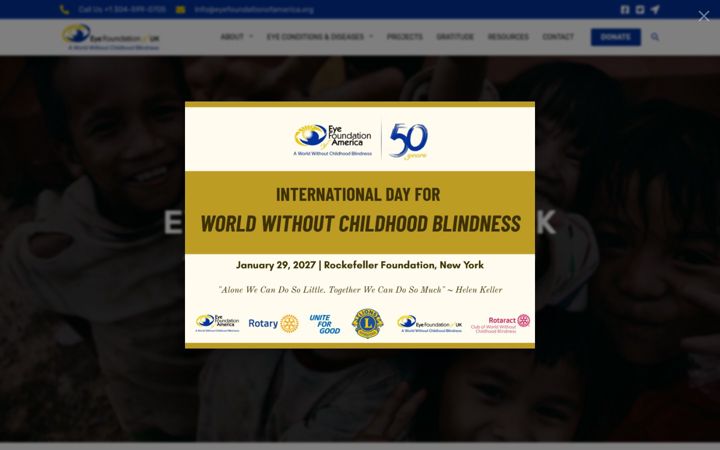 Screenshot of eyefoundationofuk.org