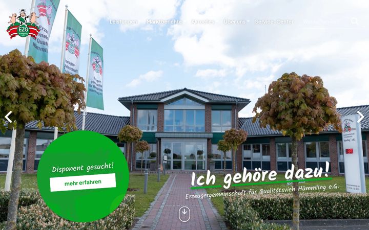 Screenshot του ezg-huemmling.de