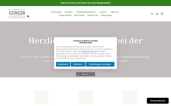 Screenshot of ezinger.eu