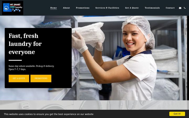 Screenshot of ezylaundry.co.nz