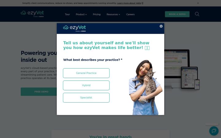 Skjámynd af ezyvet.com