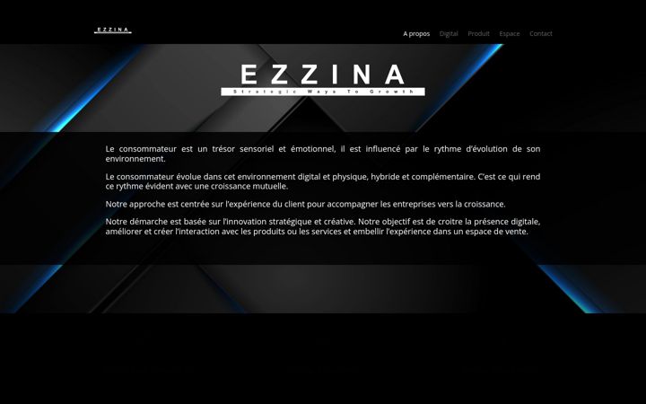 Screenshot of ezzina.fr