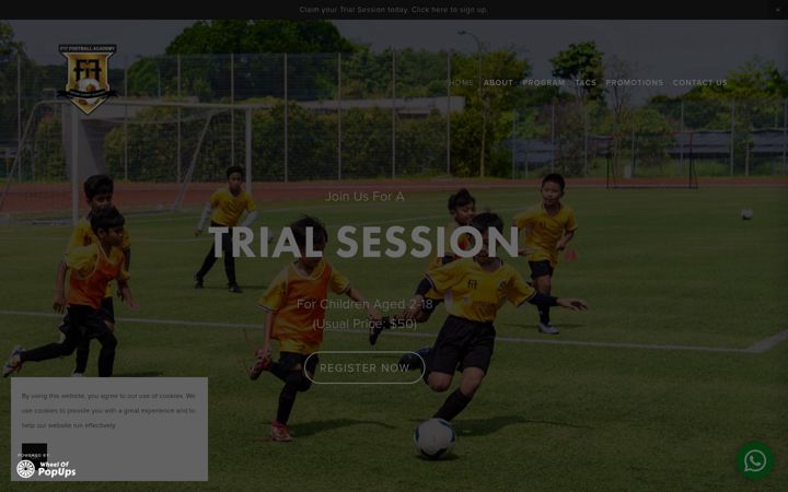 Screenshot of f17academy.com