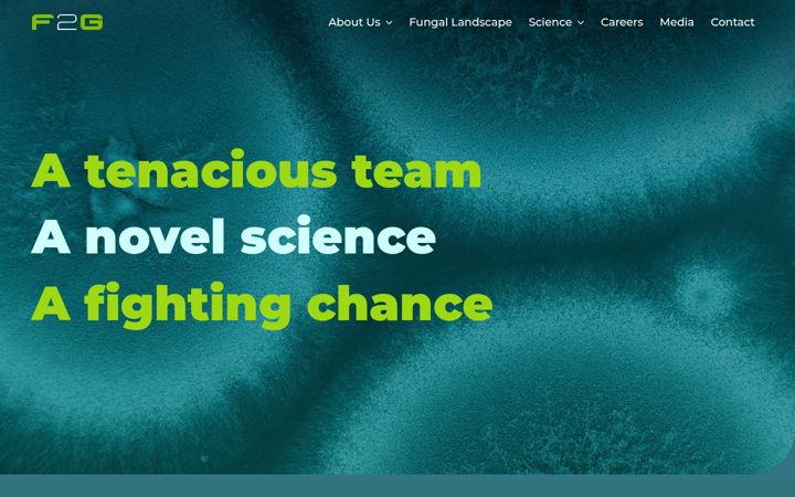 Screenshot of f2g.com