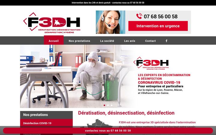 Screenshot of f3dh.fr