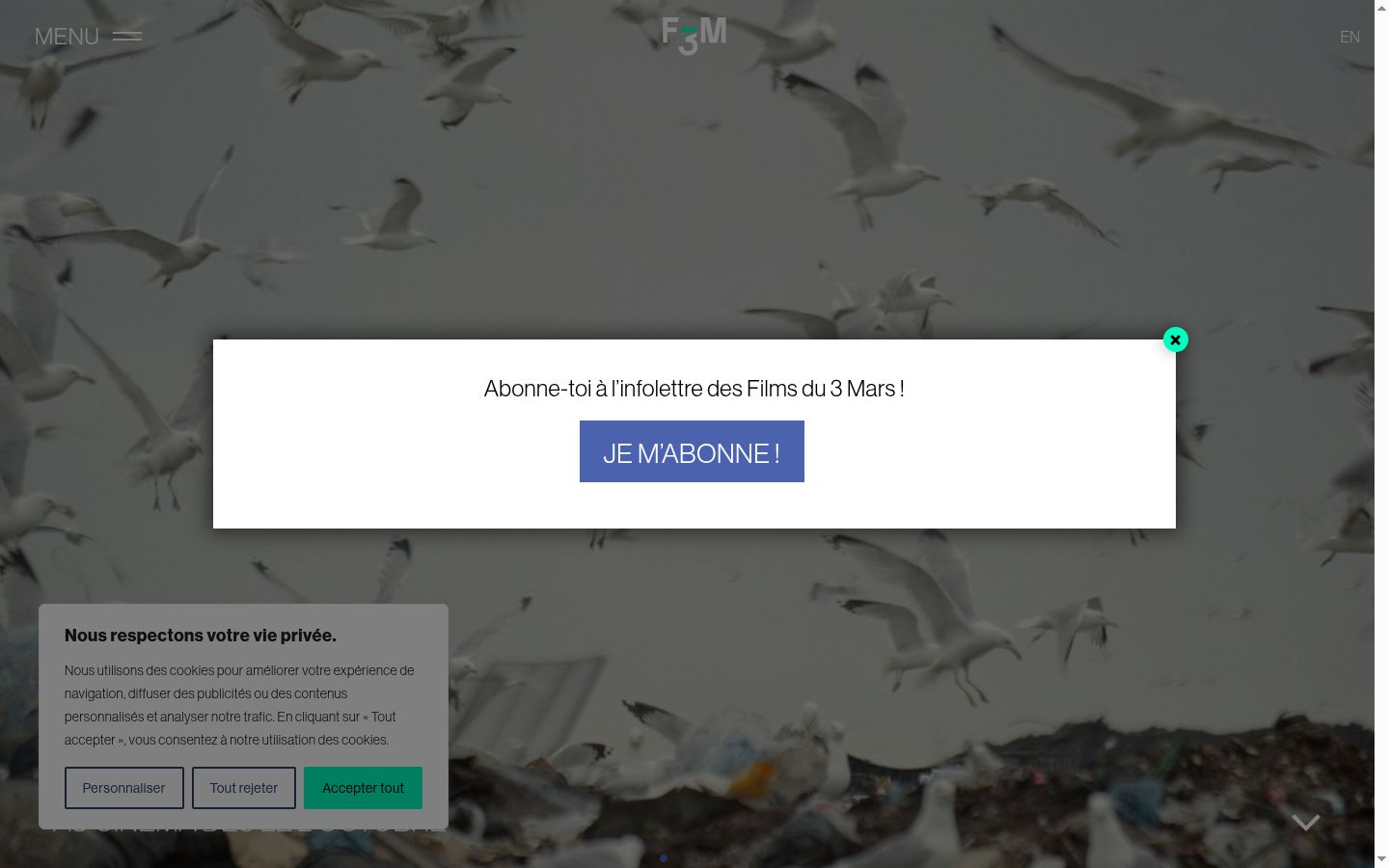 Screenshot of the consent banner shown before any interaction