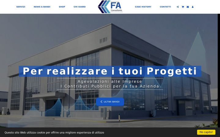 Screenshot of fa-consultants.com