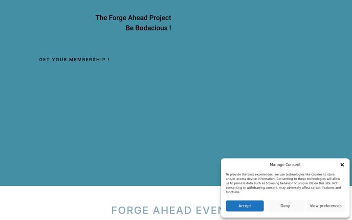 Screenshot of fa-village.com