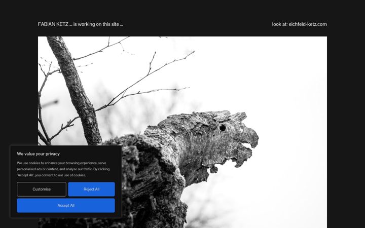 Screenshot of fabianketz.com