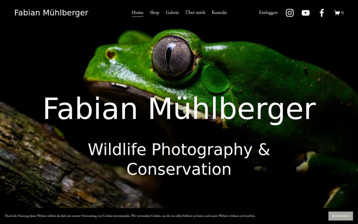 Screenshot of fabianmuehlberger.com