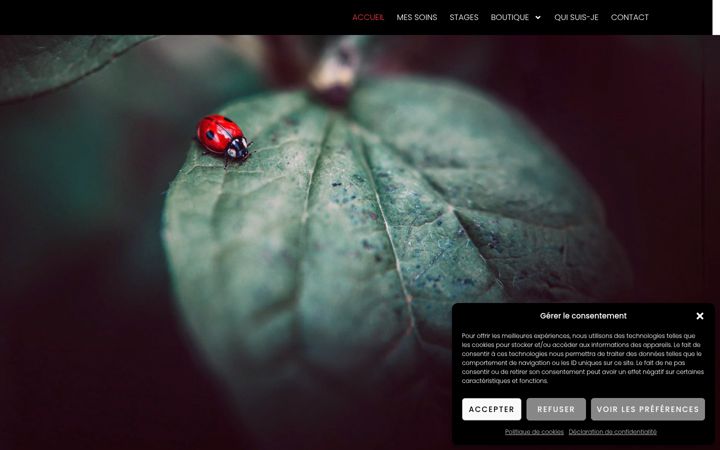 Screenshot of fabienne-guerisseuse.ch
