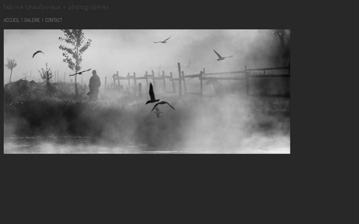 Screenshot von fabrice-chaufouraux.be