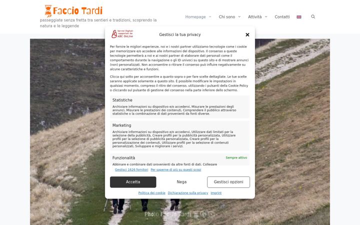 Screenshot ta' facciotardi.it