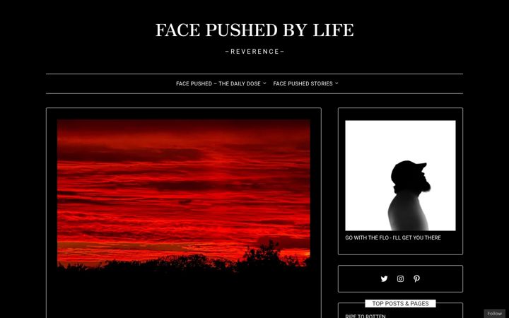 Screenshot of facepushedbylife.com