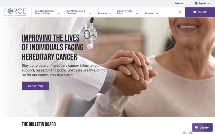 Screenshot of facingourrisk.org