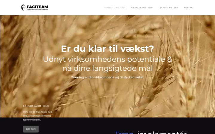 Screenshot of faciteam.dk