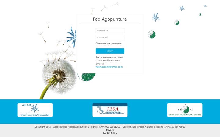 Screenshot of fadagopuntura.com