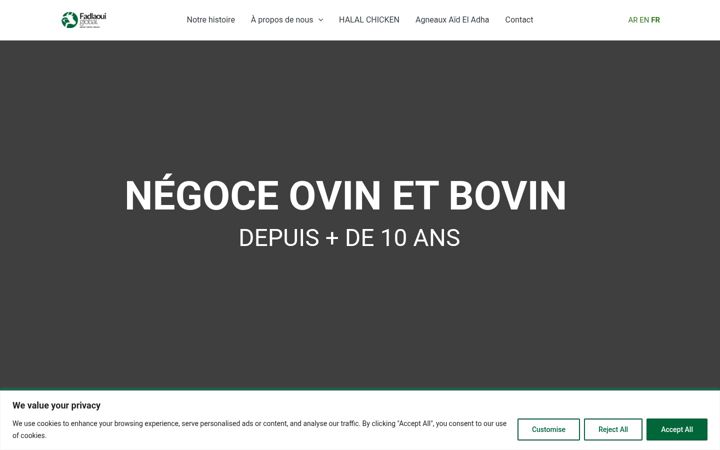 Screenshot of fadlaouiglobal.com