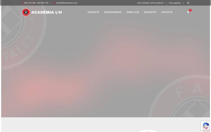 Screenshot of fafhospitalet.com