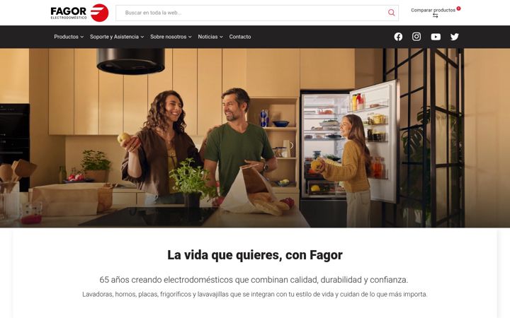 Zrzut ekranu fagorelectrodomestico.es