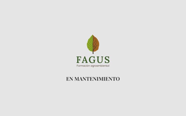 Screenshot of fagusformacion.es