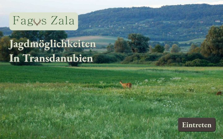 Screenshot of faguszala.hu