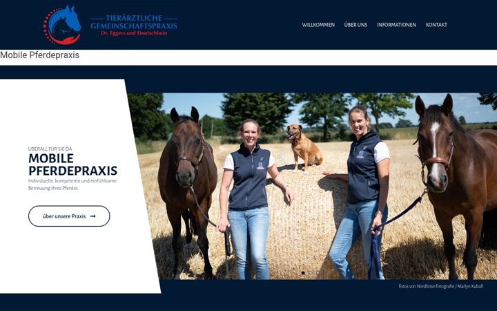 Screenshot of fahrpraxis-pferd.de