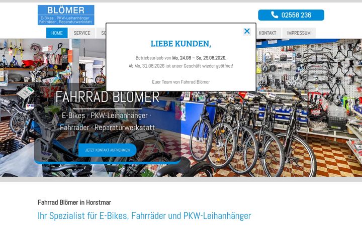 Skärmbild av fahrrad-bloemer.de