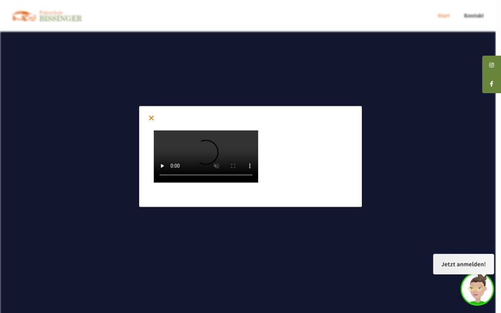 Screenshot of fahrschule-bissinger.com