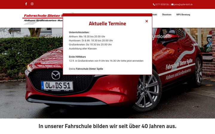 Ekrānuzņēmums no fahrschule-dieter-spille.de