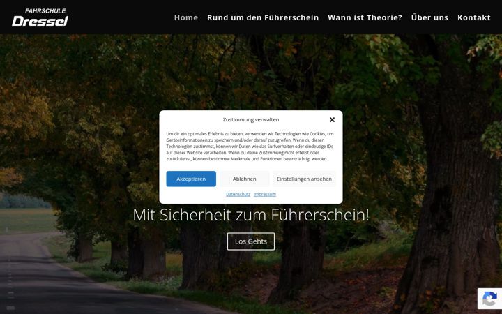 Screenshot stránky fahrschule-dressel.de