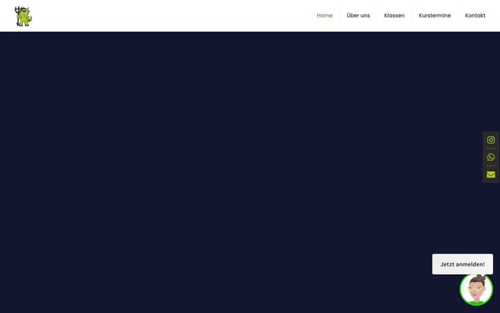 Screenshot of fahrschule-martin.com