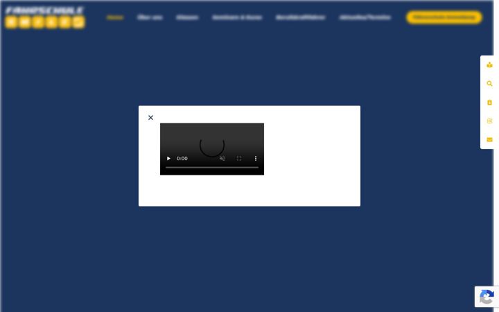 Screenshot of fahrschule-smile.eu