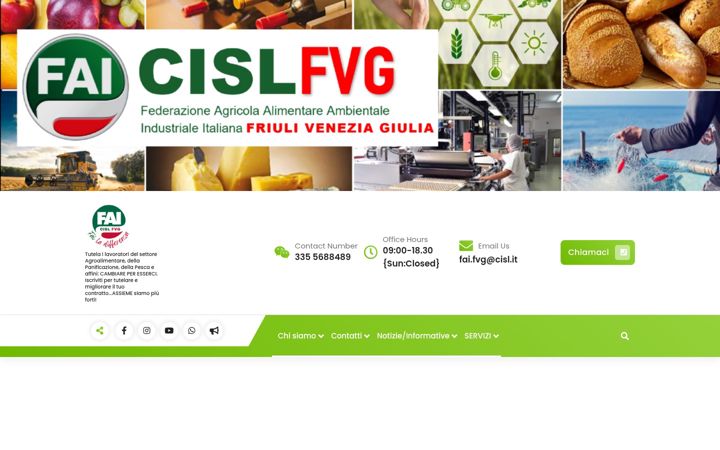 Screenshot of faicislfvg.it