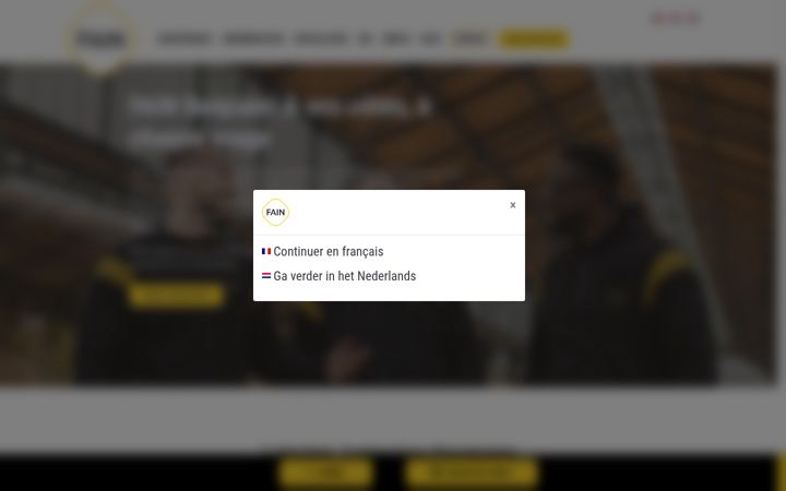 Captura de pantalla de fainbelgium.be