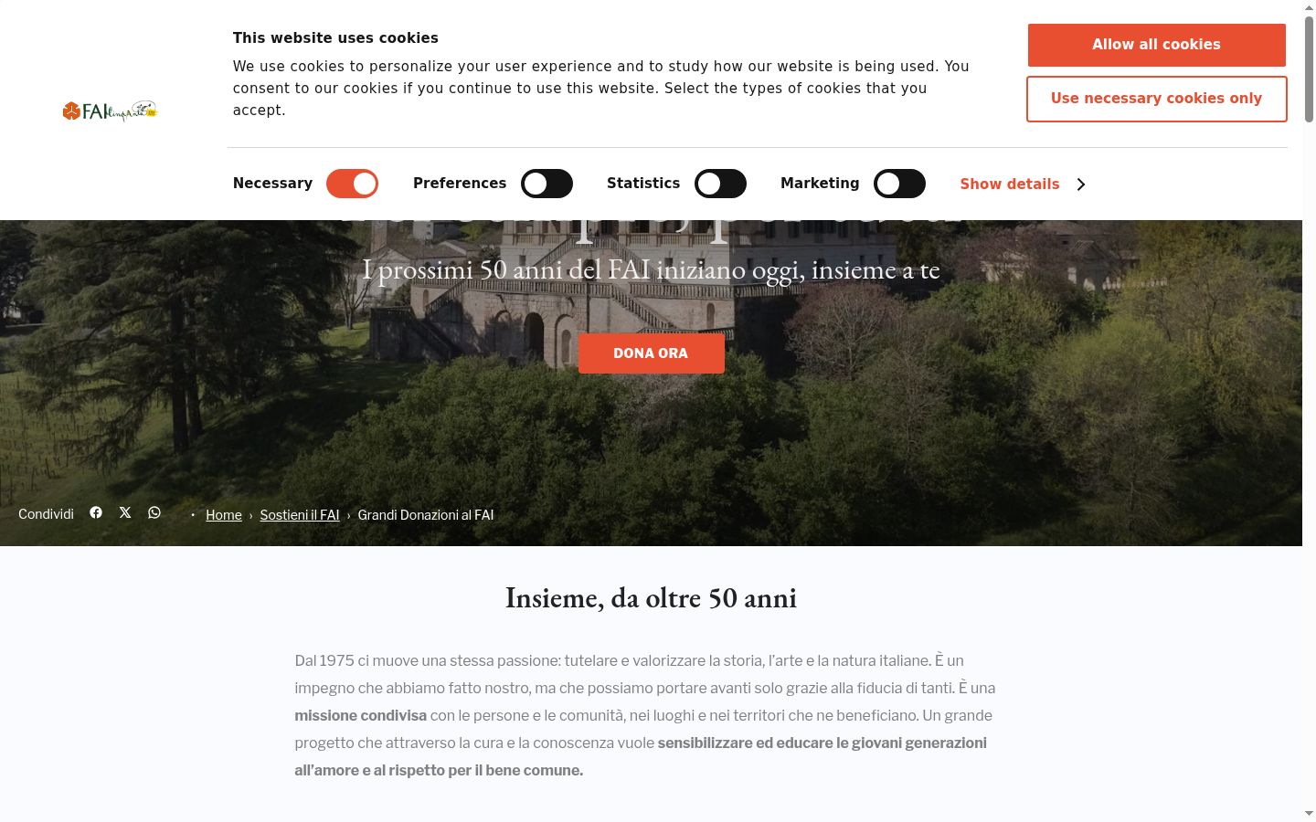 Screenshot van de toestemmingsbanner zoals getoond vóór enige interactie
