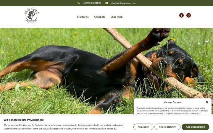 Screenshot ta' fairdogacademy.de
