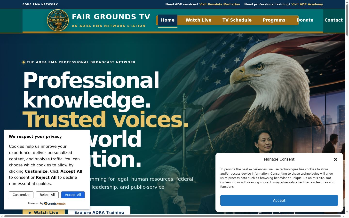 Screenshot of the consent banner shown before any interaction