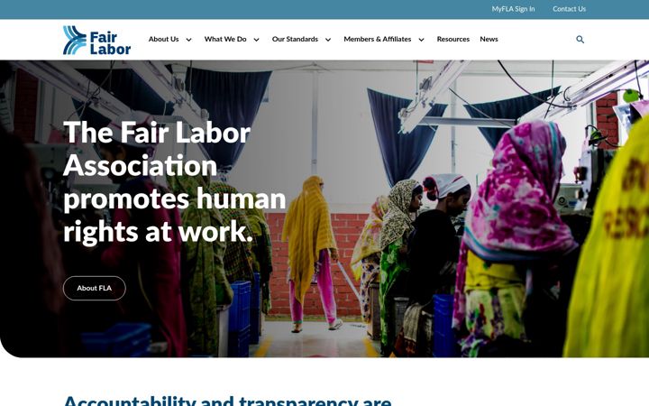 Screenshot von fairlabor.org