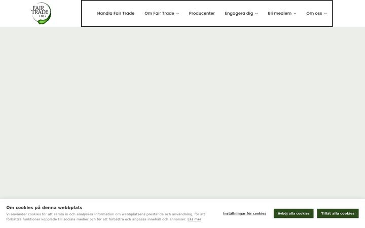 Screenshot of fairtradeorg.se