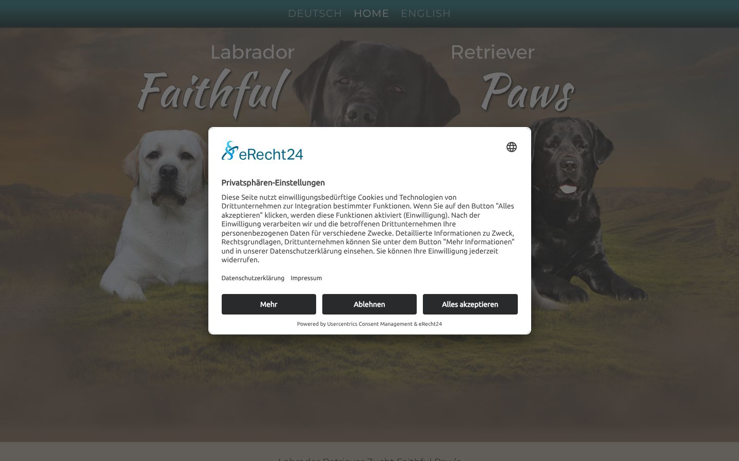 Screenshot des Einwilligungsbanners vor jeglicher Interaktion