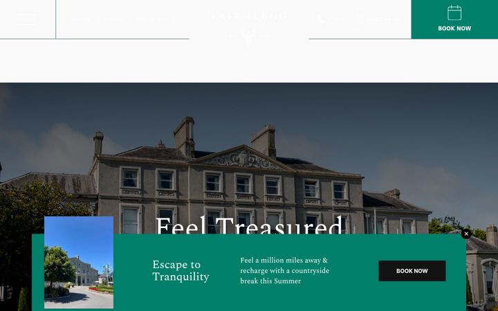 Screenshot of faithleggmews.ie